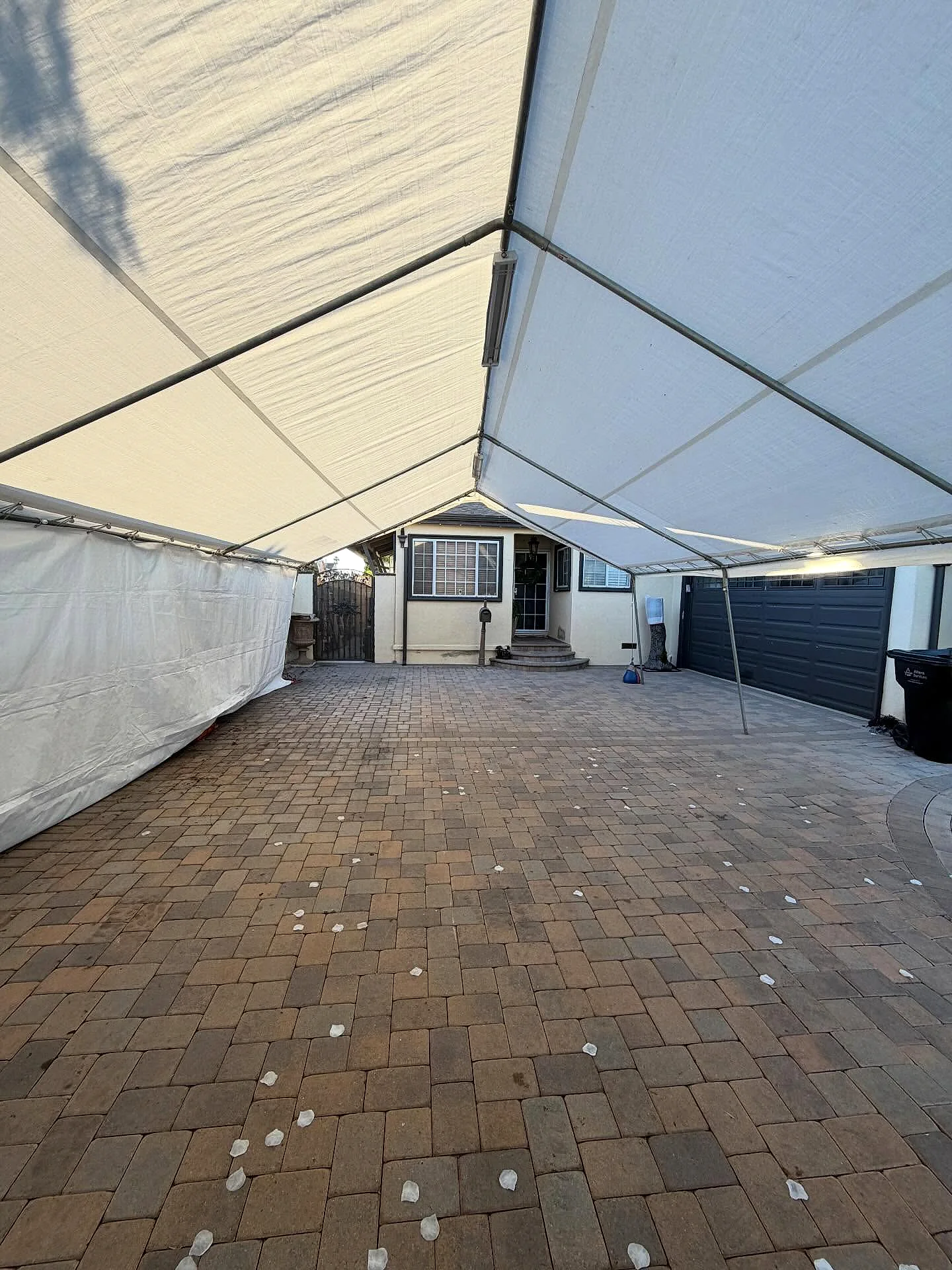 Large white event canopy installed over a paved backyard